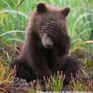 Meet your Posher, Ron